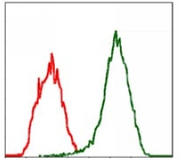 Moesin Mouse Monoclonal Antibody