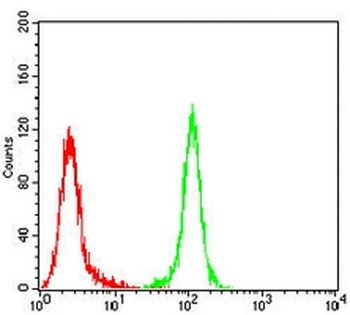 MSH2 Mouse Monoclonal Antibody