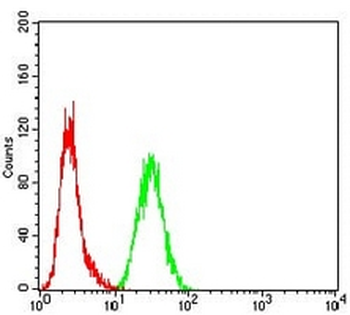 MSH2 Mouse Monoclonal Antibody
