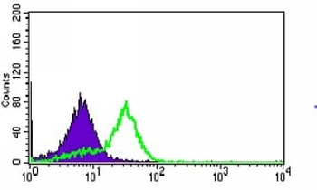 MRPS32 Mouse Monoclonal Antibody