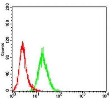 MRE11 Mouse Monoclonal Antibody