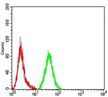 MMP2 Mouse Monoclonal Antibody