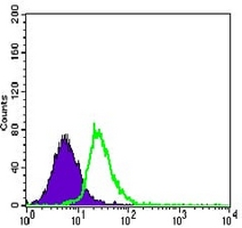 MEF2C Mouse Monoclonal Antibody