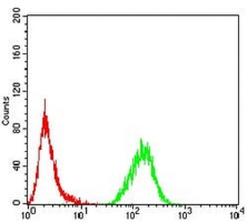 MeCP2 Mouse Monoclonal Antibody