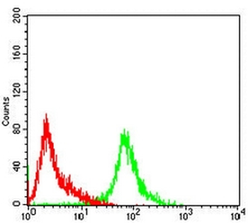 MCM3 Mouse Monoclonal Antibody