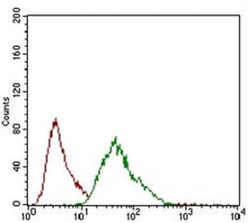 CD146 Mouse Monoclonal Antibody