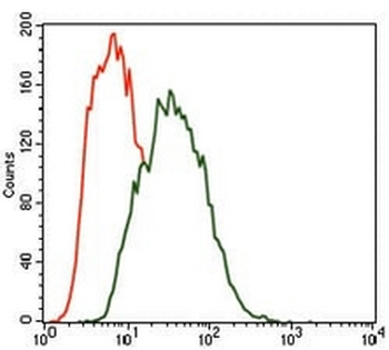MARK3 Mouse Monoclonal Antibody