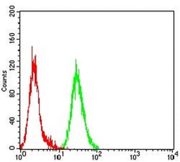 JNK2 Mouse Monoclonal Antibody