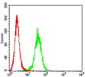 M6PR Mouse Monoclonal Antibody