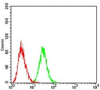 LH Receptor Mouse Monoclonal Antibody