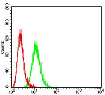Cytokeratin 6 Mouse Monoclonal Antibody