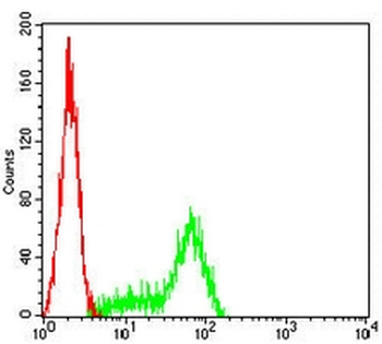 Cytokeratin 2 Mouse Monoclonal Antibody
