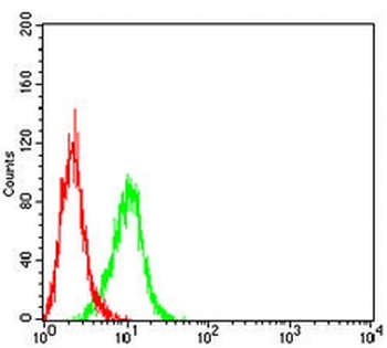 Cytokeratin 13 Mouse Monoclonal Antibody