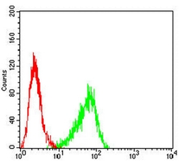 Cytokeratin 10 Mouse Monoclonal Antibody