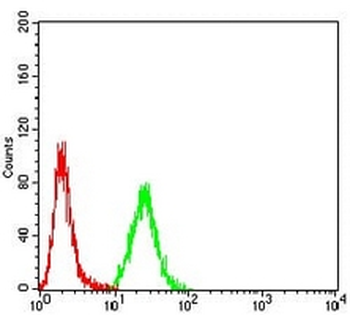Cytokeratin 10 Mouse Monoclonal Antibody