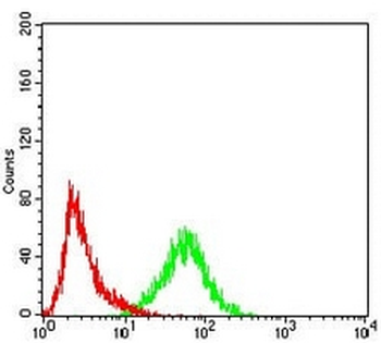 Importin alpha 2 Mouse Monoclonal Antibody