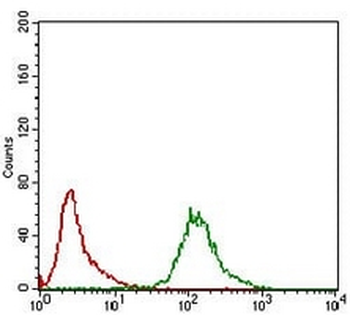 SLM-1 Mouse Monoclonal Antibody