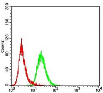 FBL10 Mouse Monoclonal Antibody