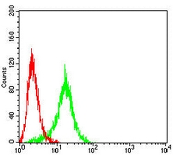 KCNN4 Mouse Monoclonal Antibody