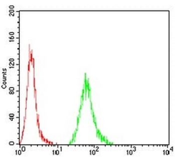 KBTBD8 Mouse Monoclonal Antibody