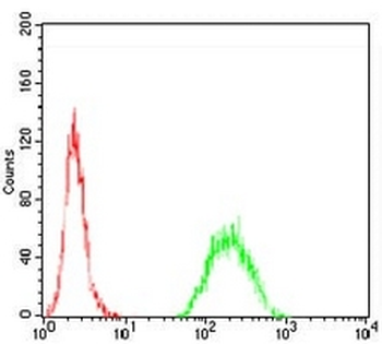 TIP60 Mouse Monoclonal Antibody