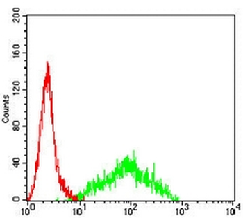 Insulin Receptor Mouse Monoclonal Antibody
