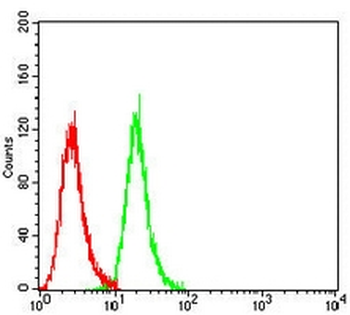 IGF2BP3 Mouse Monoclonal Antibody