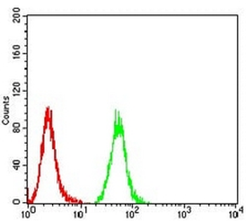 IDH1 Mouse Monoclonal Antibody