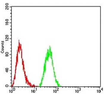 OMI Mouse Monoclonal Antibody
