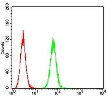 5-HT3B Mouse Monoclonal Antibody