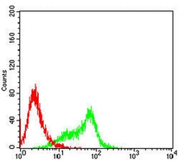 GRP75 Mouse Monoclonal Antibody