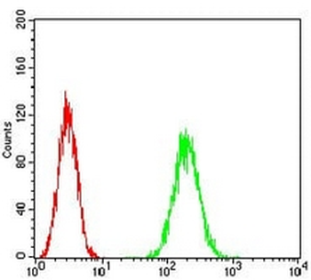 HPRT Mouse Monoclonal Antibody