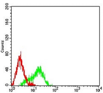 hnRNP M Mouse Monoclonal Antibody