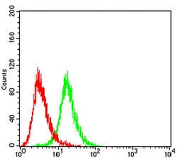 HLA-DRB1 Mouse Monoclonal Antibody