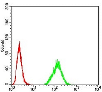 Histone Deacetylase 2 Mouse Monoclonal Antibody