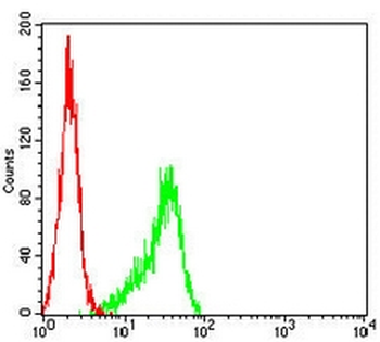 Histone Deacetylase 1 Mouse Monoclonal Antibody