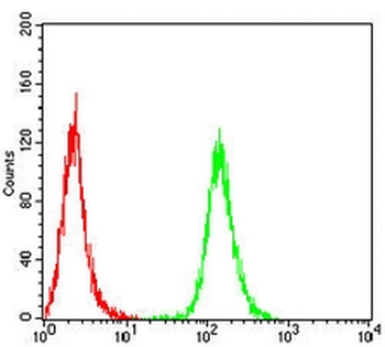 HAS1 Mouse Monoclonal Antibody