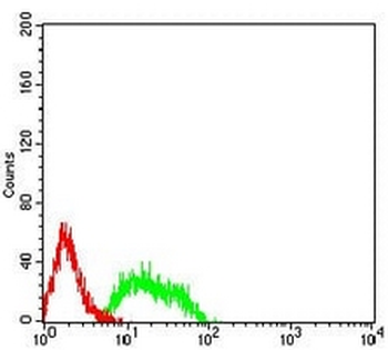 mGLUR8 Mouse Monoclonal Antibody