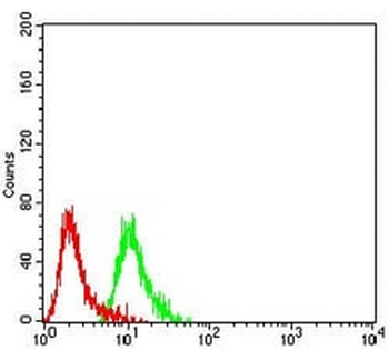 mGLUR2 Mouse Monoclonal Antibody