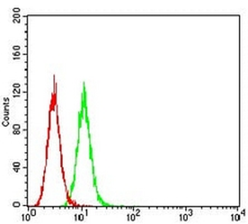 GRIK3 Mouse Monoclonal Antibody