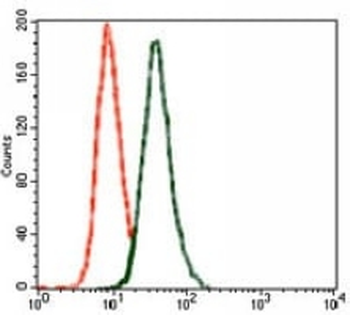 GLUR2 Mouse Monoclonal Antibody