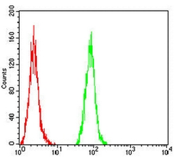 GM130 Mouse Monoclonal Antibody