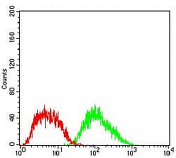 Ferritin L Mouse Monoclonal Antibody