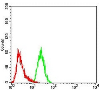 FOXP2 Mouse Monoclonal Antibody