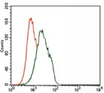 FOXP1 Mouse Monoclonal Antibody