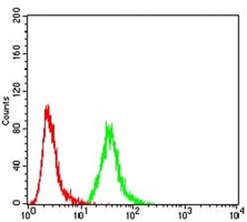 Ezrin Mouse Monoclonal Antibody