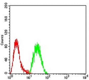 EZH1 Mouse Monoclonal Antibody