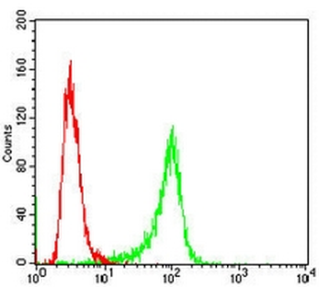 ETFA Mouse Monoclonal Antibody