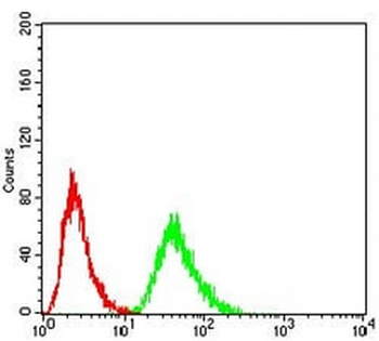 eTF1 Mouse Monoclonal Antibody