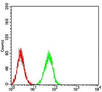 ERR alpha Mouse Monoclonal Antibody
